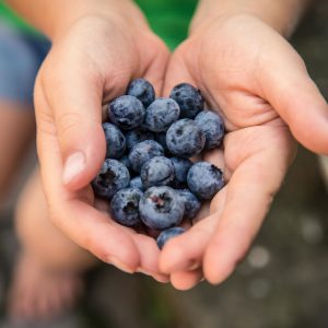 mindful eating