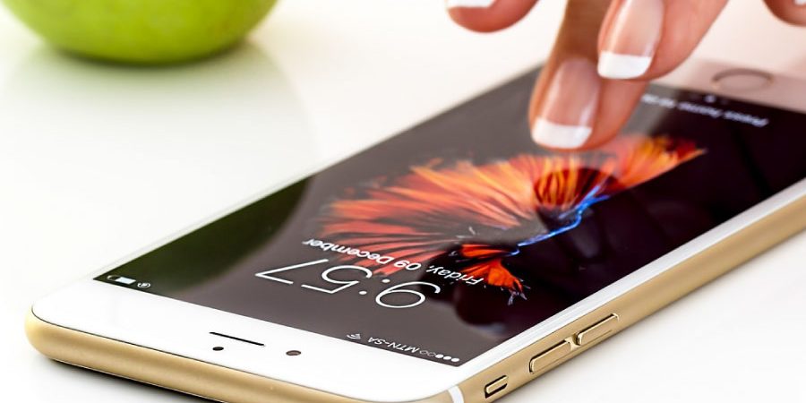 Cómo personalizar mi dieta