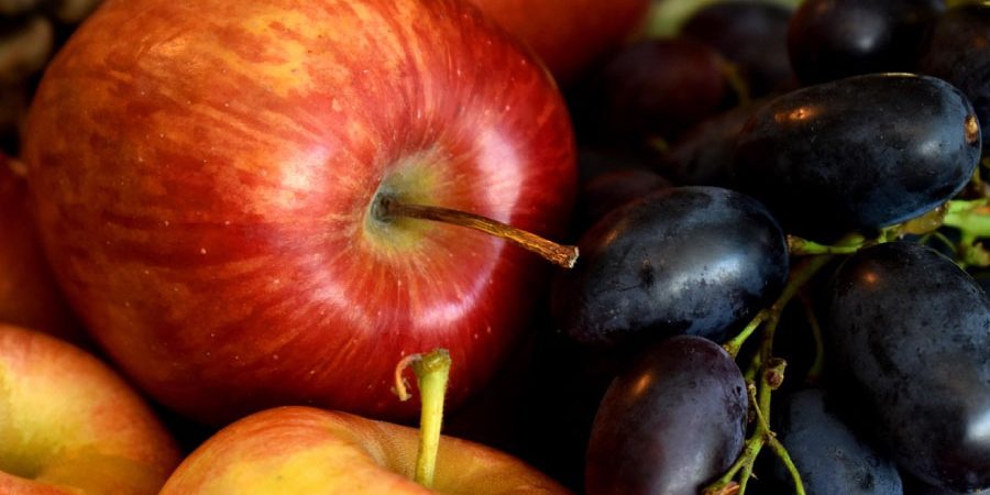 alimentacion-de-otono-vitoria-gasteiz-nutricion-leila alimentación de otoño vitoria-gasteiz